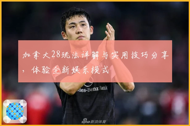 加拿大28玩法详解与实用技巧分享，体验全新娱乐模式