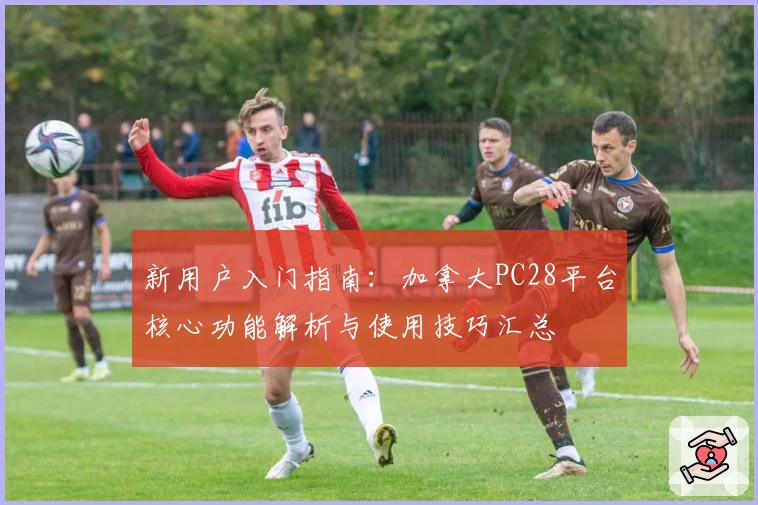 新用户入门指南:加拿大PC28平台核心功能解析与使用技巧汇总