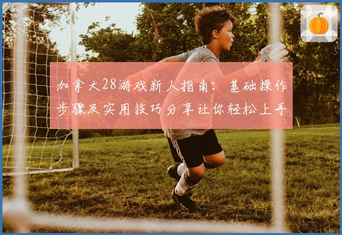 加拿大28游戏新人指南：基础操作步骤及实用技巧分享让你轻松上手