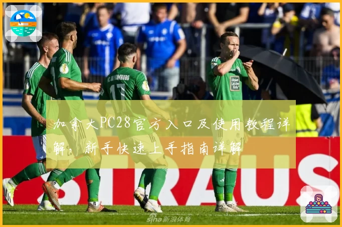 加拿大PC28官方入口及使用教程详解，新手快速上手指南详解