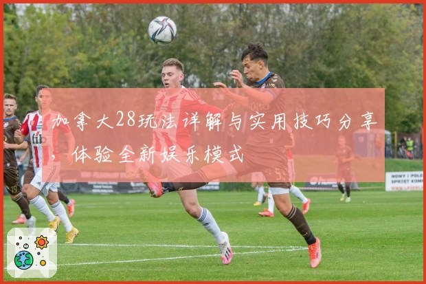 加拿大28玩法详解与实用技巧分享，体验全新娱乐模式