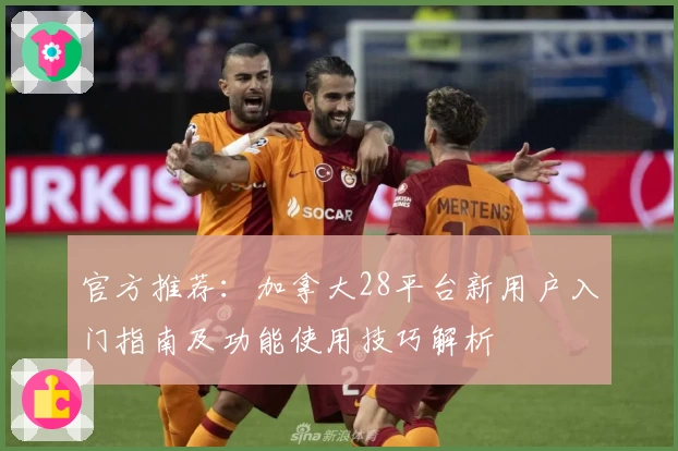 官方推荐：加拿大28平台新用户入门指南及功能使用技巧解析