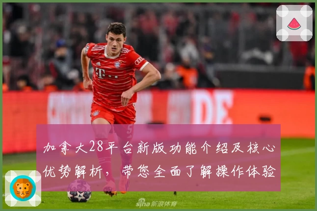 加拿大28平台新版功能介绍及核心优势解析，带您全面了解操作体验和实用技巧