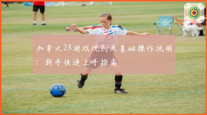 加拿大28游戏规则及基础操作说明：新手快速上手指南