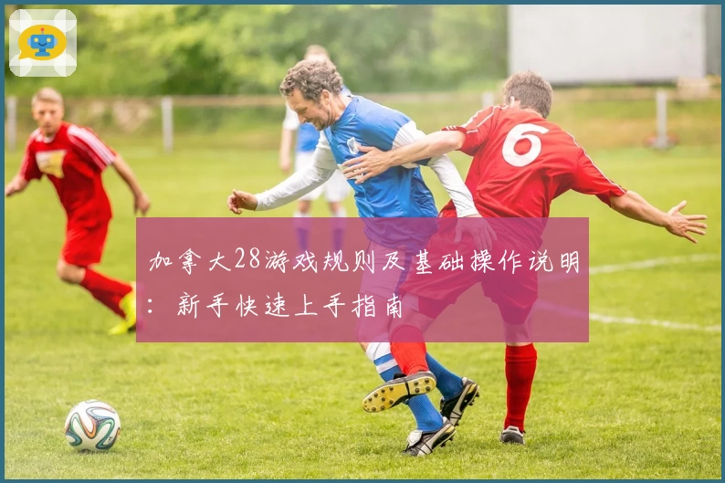 加拿大28游戏规则及基础操作说明:新手快速上手指南