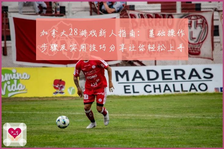 加拿大28游戏新人指南:基础操作步骤及实用技巧分享让你轻松上手