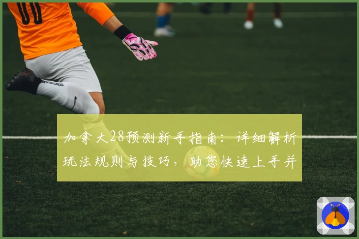 加拿大28预测新手指南：详细解析玩法规则与技巧，助您快速上手并提升预测精准度