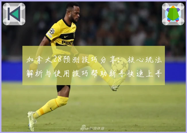 加拿大28预测技巧分享：核心玩法解析与使用技巧帮助新手快速上手